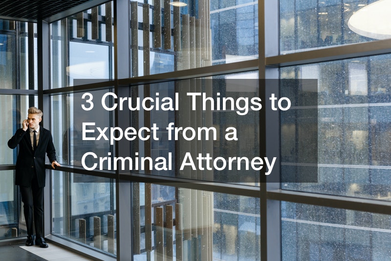3 Crucial Things to Expect from a Criminal Attorney