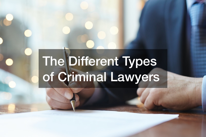 The Different Types of Criminal Lawyers